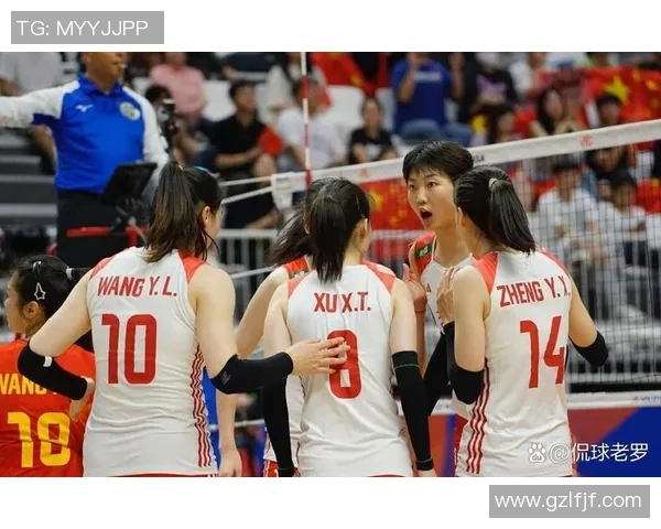 南京排球队运营体系探讨与排球战术创新研究